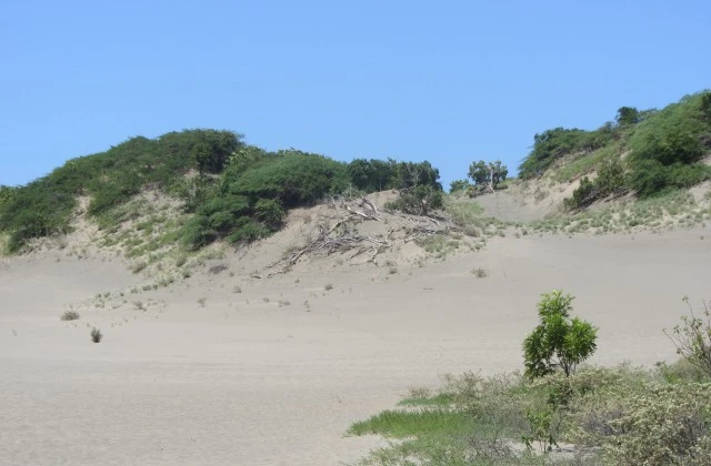 Dunes de Bani Province Peravia